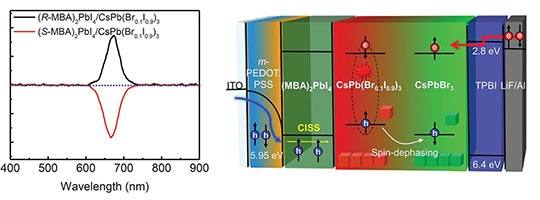 Illustration showing LED spin-polarized carriers beside a chart showing wavelength measurements of CP-EL.