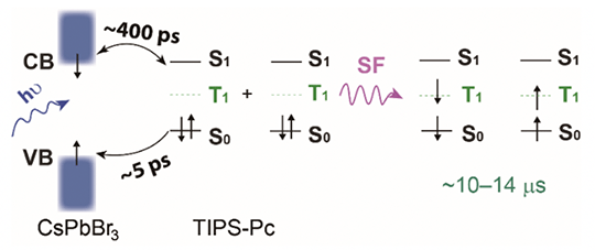 Schematic showing CB and VB transfer process.